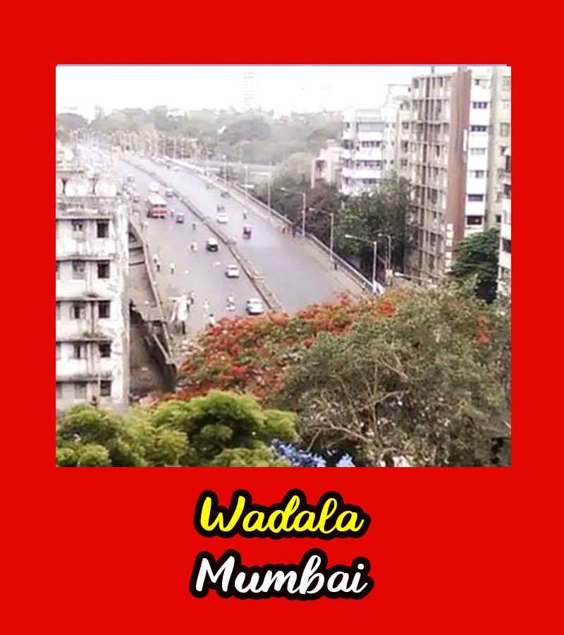Escort Services at Wadala, Mumbai